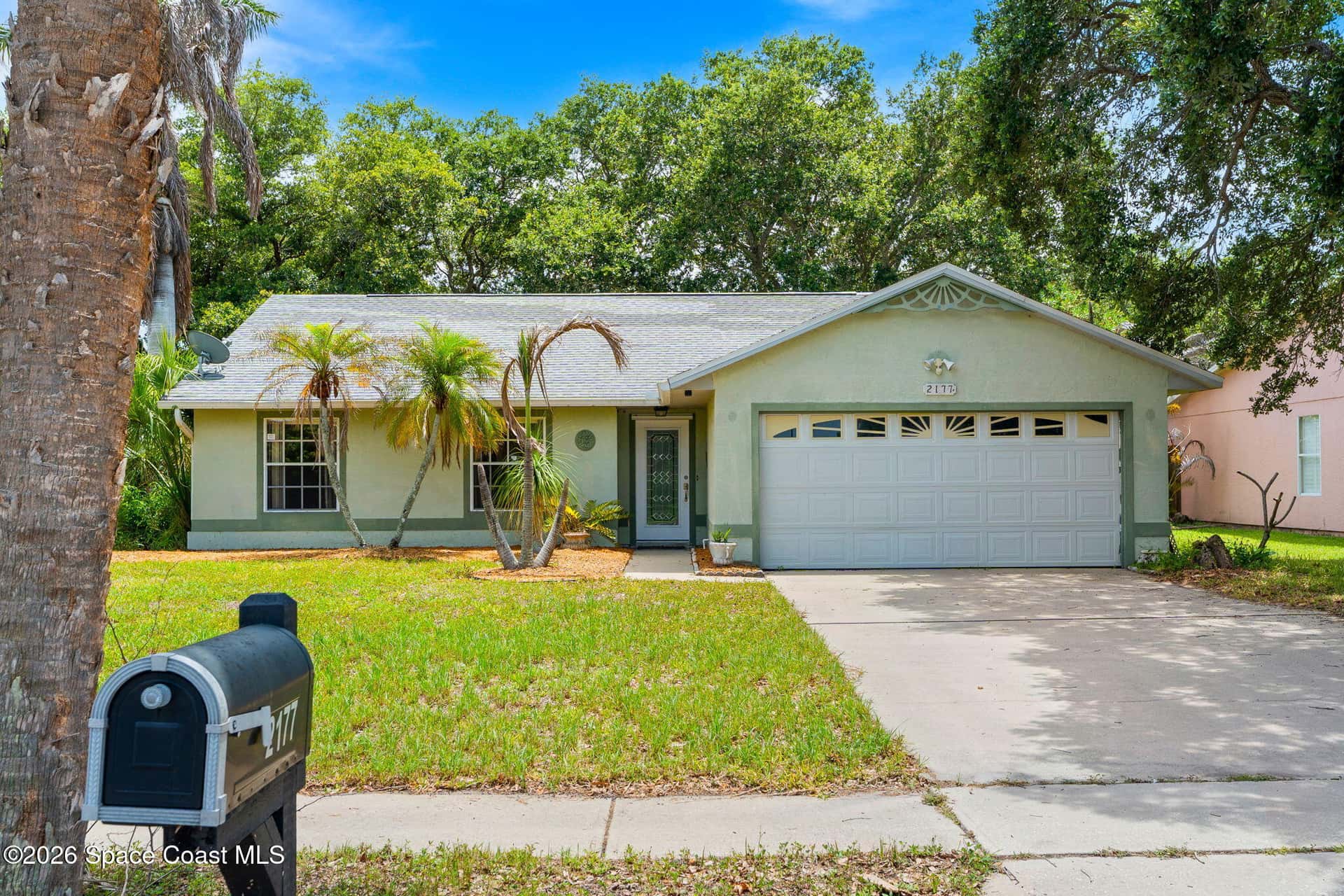 2177 Royal Poinciana thumbnail 1