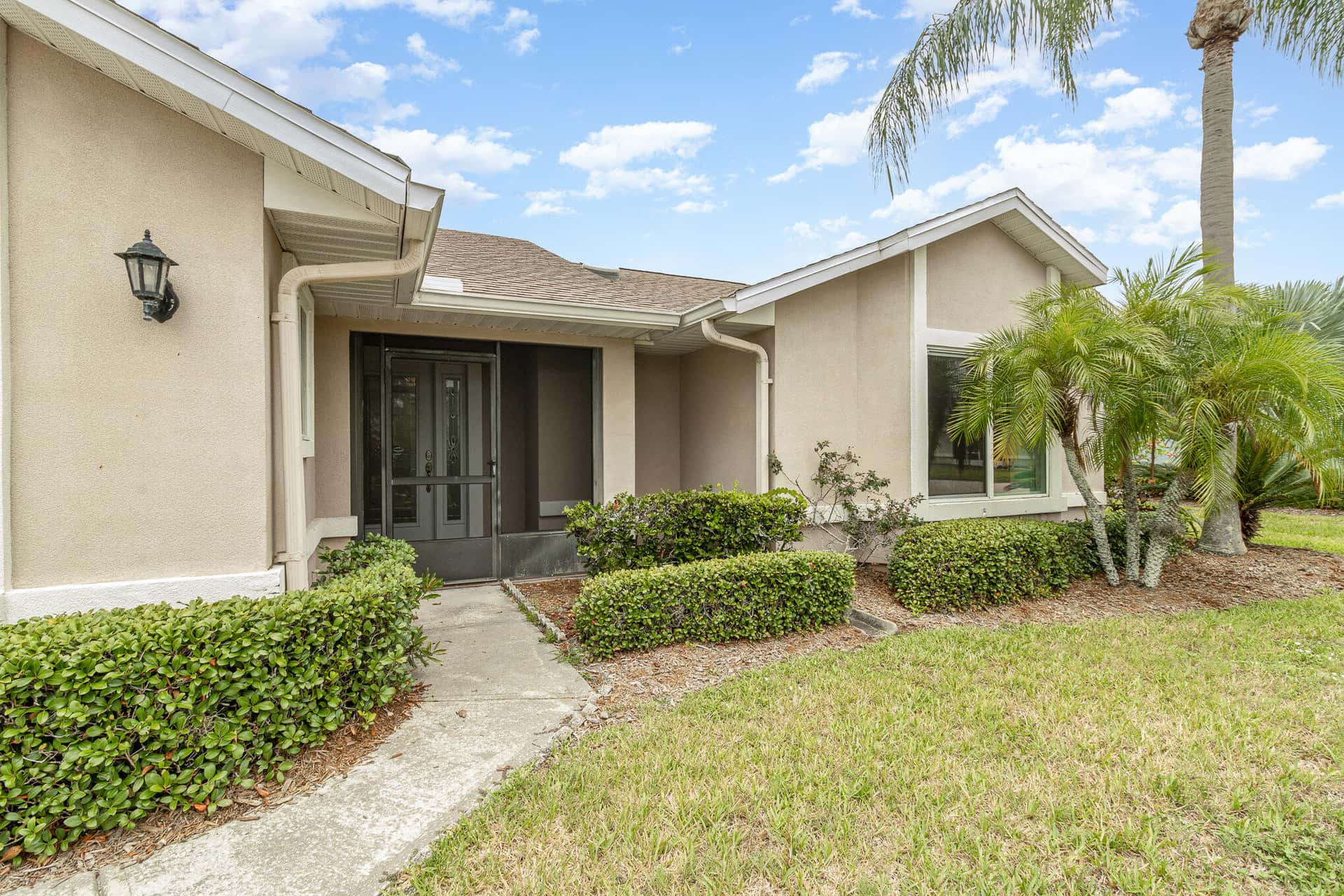 1440 Patriot thumbnail 2